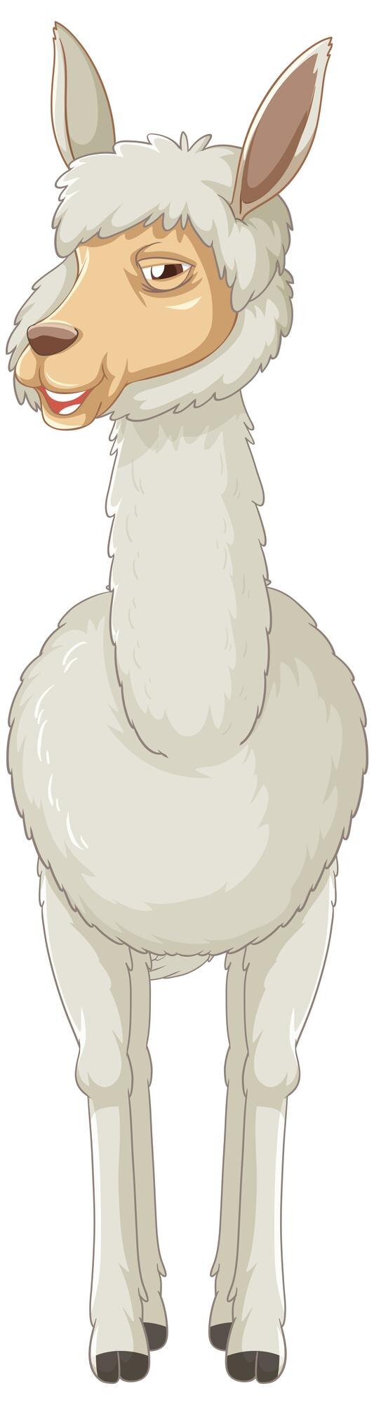 Vetor grátis uma alpaca no fundo branco