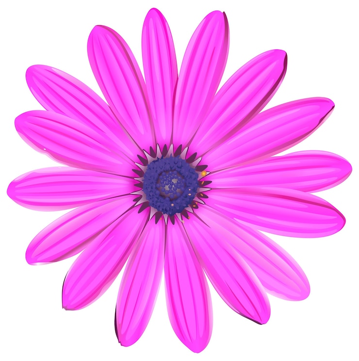 Vetor grátis uma flor rosa