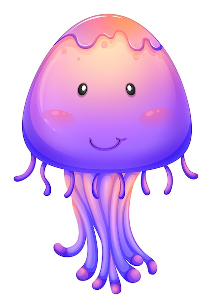 Uma medusa roxa