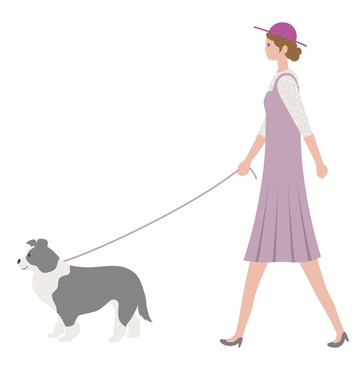 Vetor grátis uma mulher passeando com um cachorro isolado em um fundo branco. ilustração em vetor estilo simples.