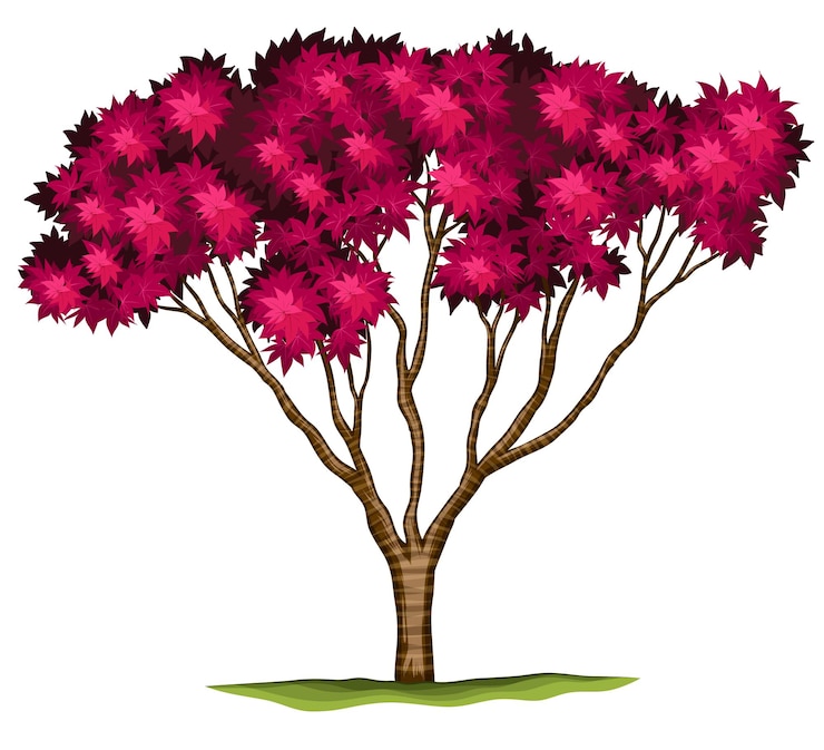 Vetor grátis uma planta de bordo japonês bloodgood