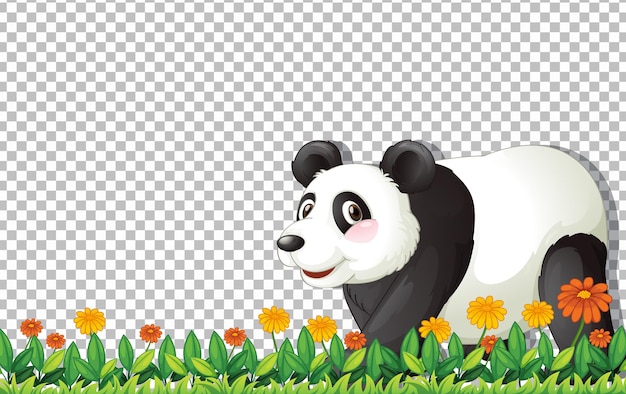 Urso panda caminhando na grama verde em fundo transparente