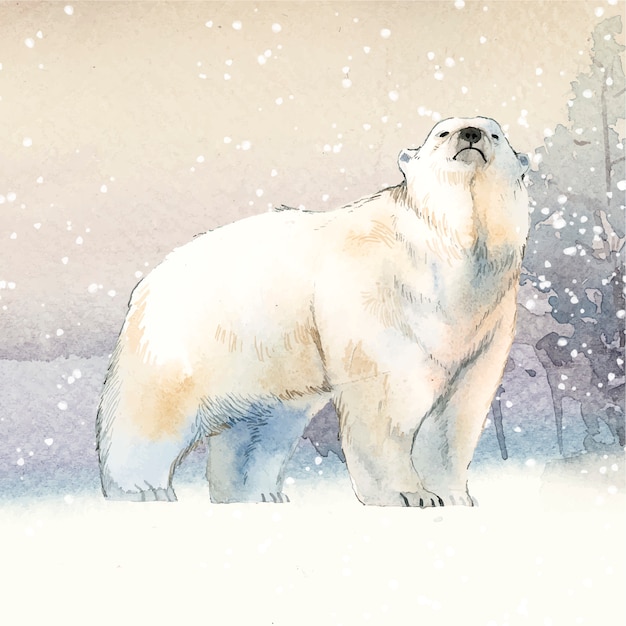 Urso polar desenhado à mão no vetor de estilo aquarela de neve