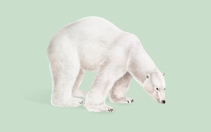 Vetor grátis urso polar, ilustração