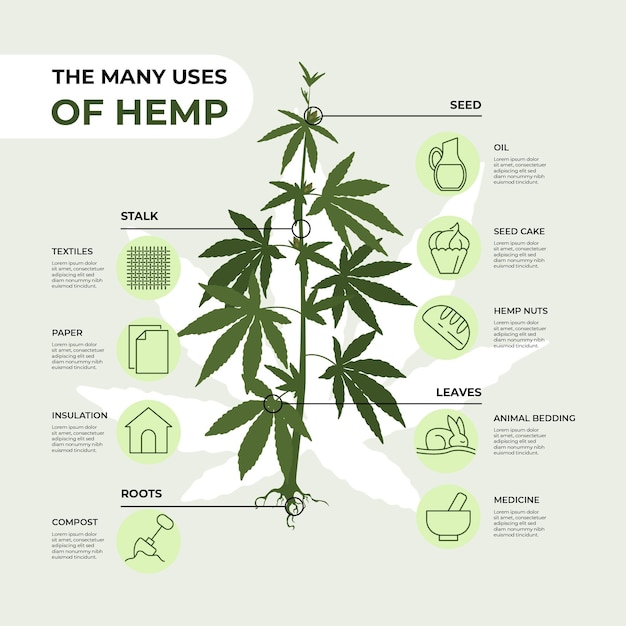 Vetor grátis usos do cânhamo - infográfico