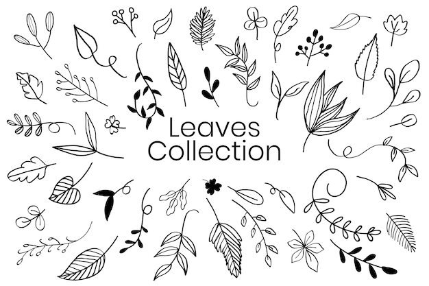 Várias folhas doodle vector coleção
