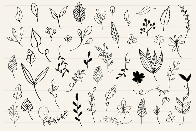 Várias folhas doodle vector coleção Vetor grátis
