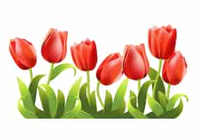 Vetor grátis várias tulipas vermelhas crescentes realistas.