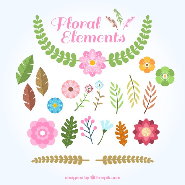 Variedade de flores bonitos e folhas