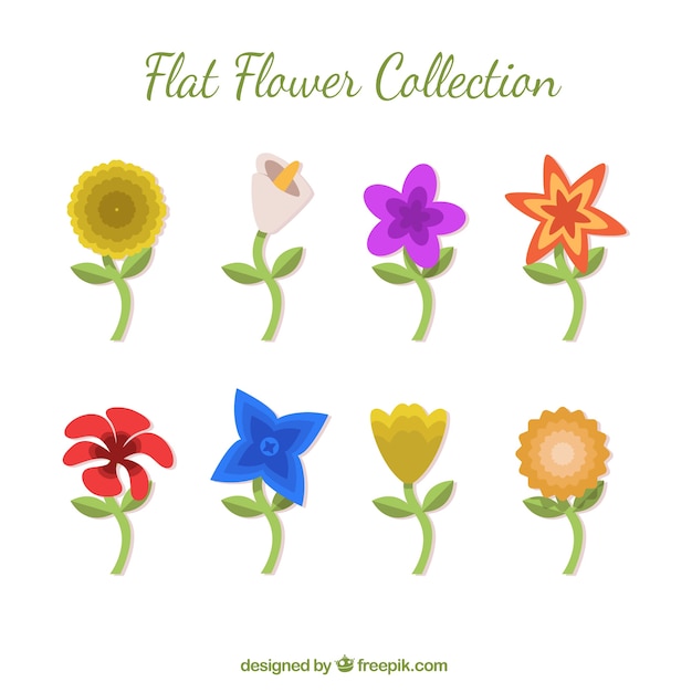 Vetor grátis variedade de flores coloridas