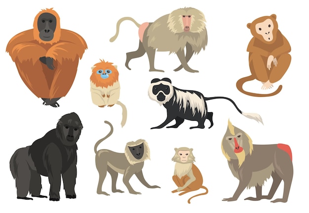 Vetor grátis variedade de macacos exóticos engraçados e conjunto plano de macacos