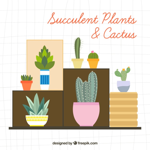 Vetor grátis variedade de plantas decorativas e cactus em design plano