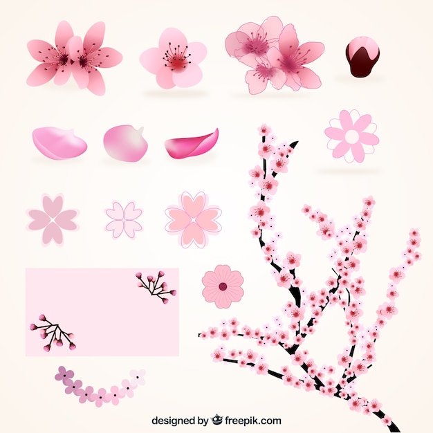 Vetor grátis variedades de flores de cerejeira