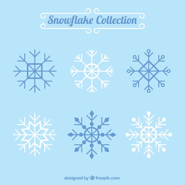 Vários flocos de neve decorativos