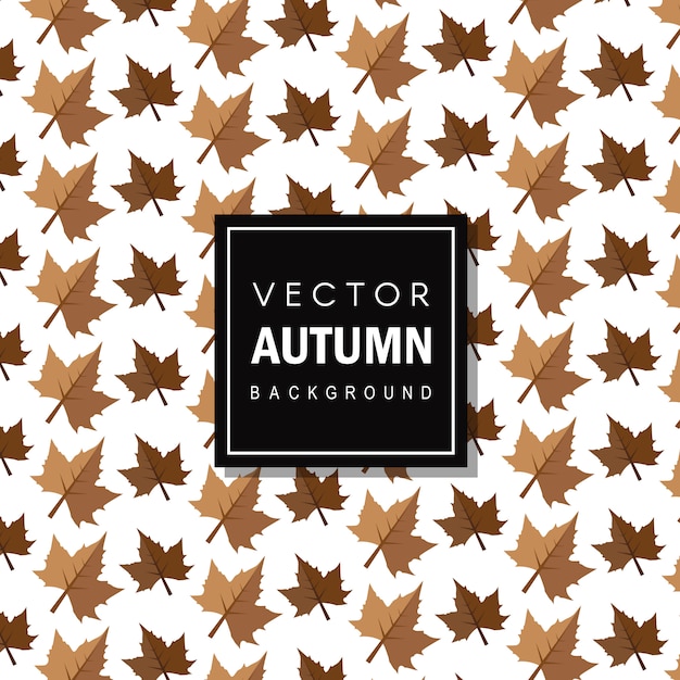 Vector colorido autum deixa o fundo