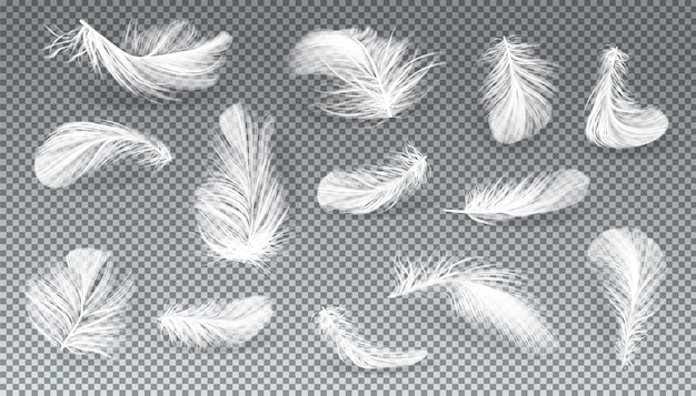 Vector conjunto realista de 3d de pássaro branco ou penas de anjo em várias formas