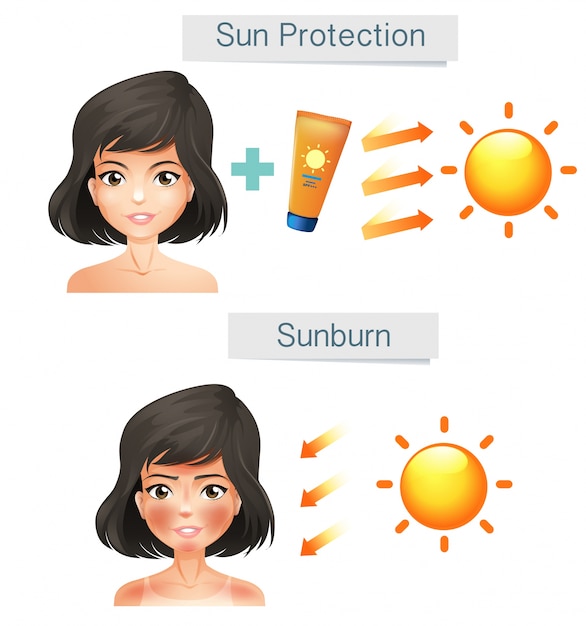 Vetor grátis vector mostrando mulheres pele depois do sol