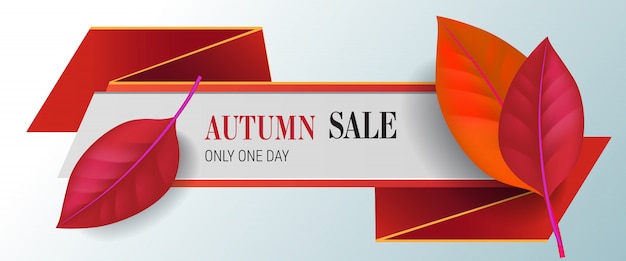 Venda de outono, apenas um dia letras com folhas vermelhas. oferta de outono ou publicidade de venda