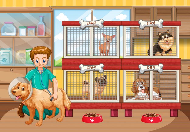 my pet care hotel - jogo de resgate e abrigo de animais, seja um