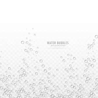 Vetor de bolhas de água transparente no fundo branco