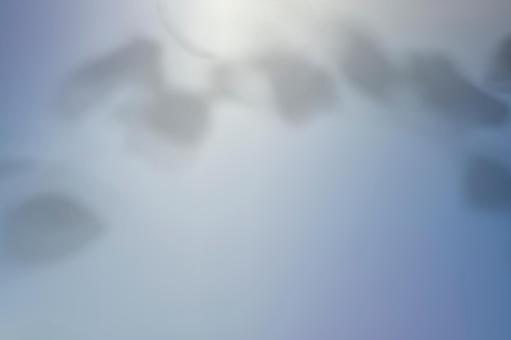 Vetor grátis vetor de fundo gradiente azul abstrato com sombra de planta
