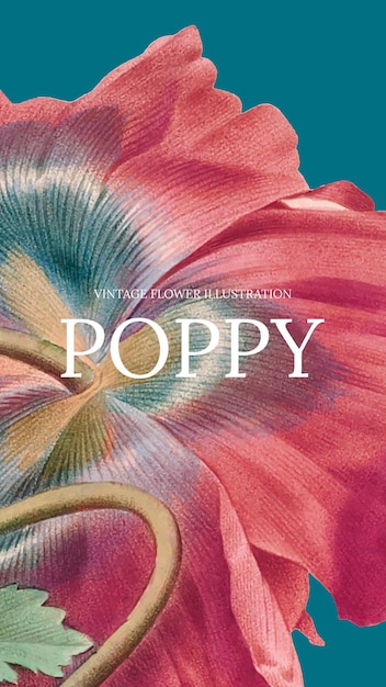 Vetor de modelo floral com fundo de papoula, remixado de obras de arte de domínio público