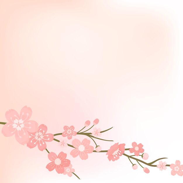 Vetor de plano de fundo em branco flor de cerejeira rosa