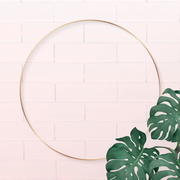 Vetor grátis vetor de quadro monstera redondo em branco