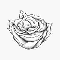 Vetor grátis vetor de símbolo de desenho de tatuagem flash vintage rosa da velha escola