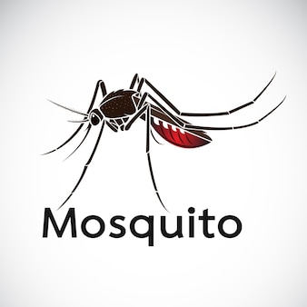 Vetor de um desenho de mosquito em fundo branco. inseto. animal. ilustração em vetor em camadas editável fácil.