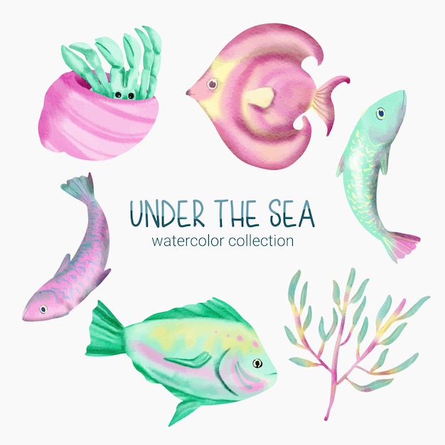 Vida marinha elemento bonito vida animal no fundo do mar criatura animal subaquática estrela do mar algas mariscos e peixes