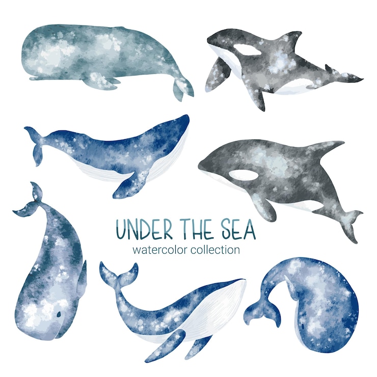 Vetor grátis vida marinha elemento fofo vida animal no mundo subaquático criatura animal subaquática e peixe baleia orca vector cartoon ilustração em aquarela