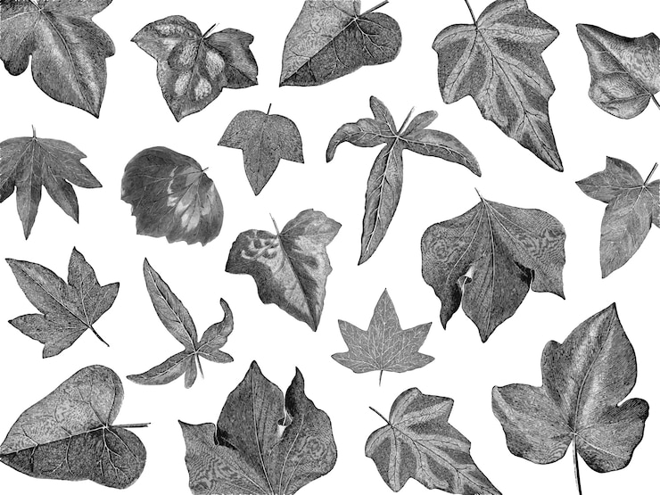 Vetor grátis vindima, plantas, e, folhas, ilustração