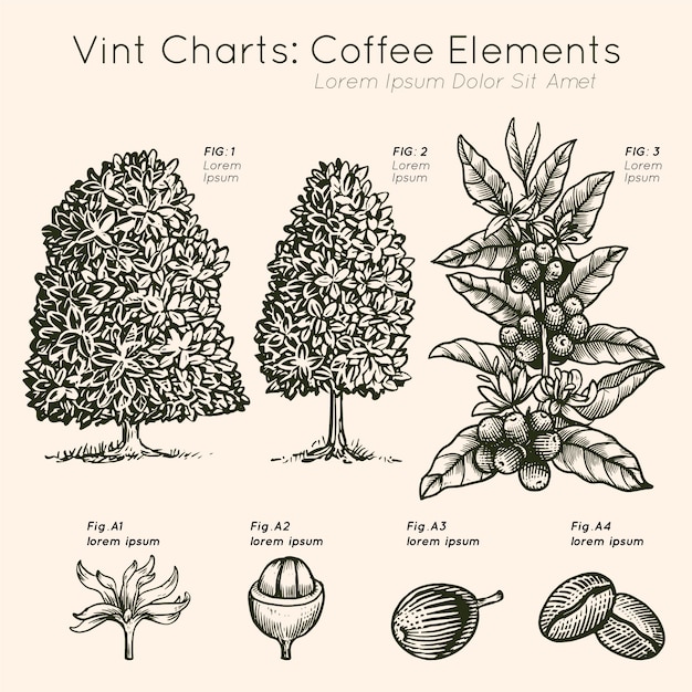 Vint gráficos café elementos árvore mão desenhada