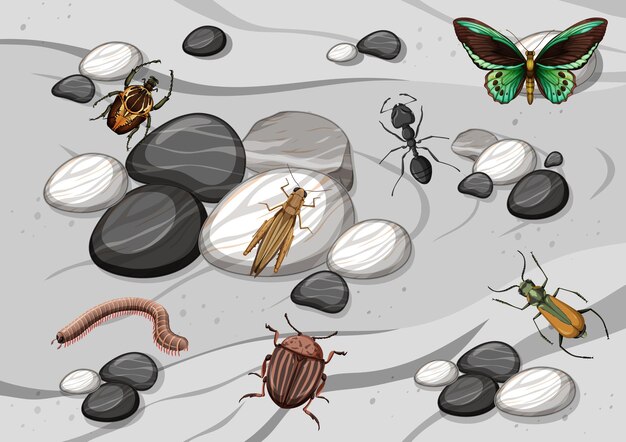 Vista superior de diferentes tipos de inseto