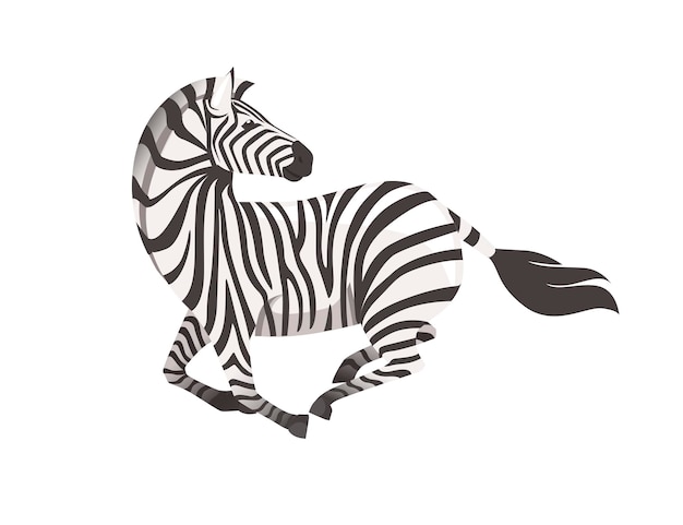 Zebra africana correndo com a cabeça olhando para trás, vista lateral, desenho animado animal design ilustração vetorial plana