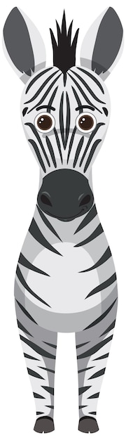 Zebra bonita em estilo cartoon plana