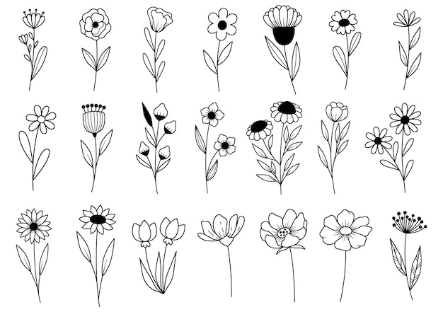 0011 doodle de flores desenhadas à mão