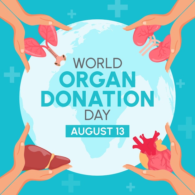 13 de agosto: Dia Mundial da Doação de Órgãos: um padrão de design de cartaz e um vetor de banner de fundo