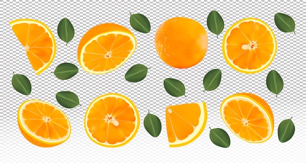 3d laranja fresca realista com folhas verdes em fundo transparente. os frutos da laranja são inteiros e cortados ao meio. .