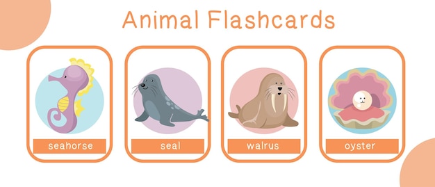 50 flashcards