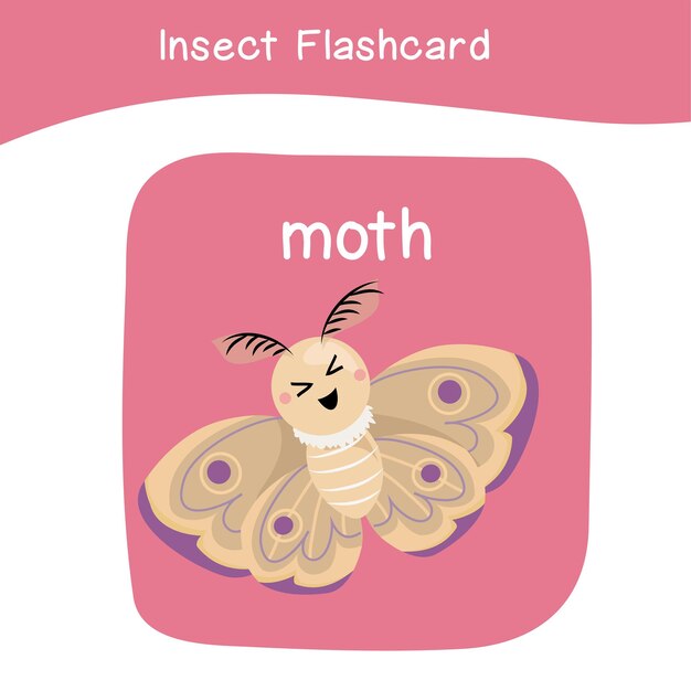 55 insetos flashcard