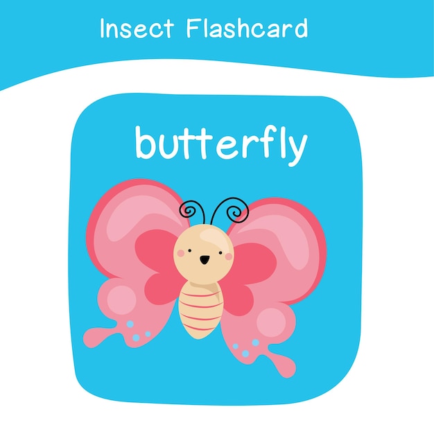 57 insetos flashcard