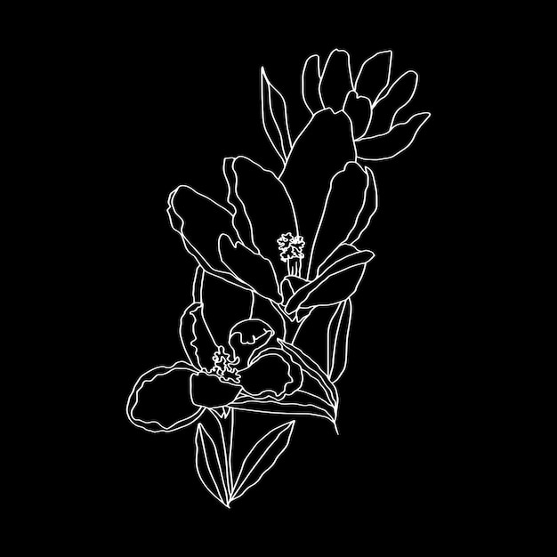 A arte da linha de açafrões brota flores com folhas 3 peças ilustração botânica vetorial preto e branco esboço de desenho à mão