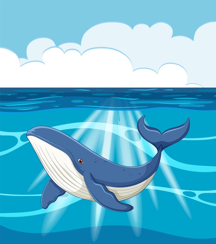 Vetor a baleia azul nas águas oceânicas