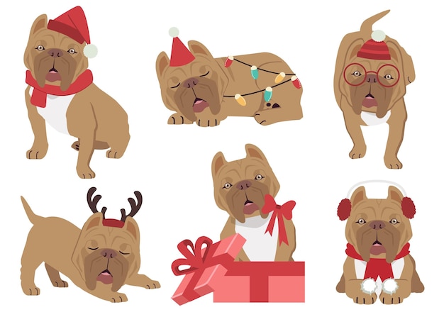 A coleção de american pit bull terrier em muitas ações para o tema de natal.