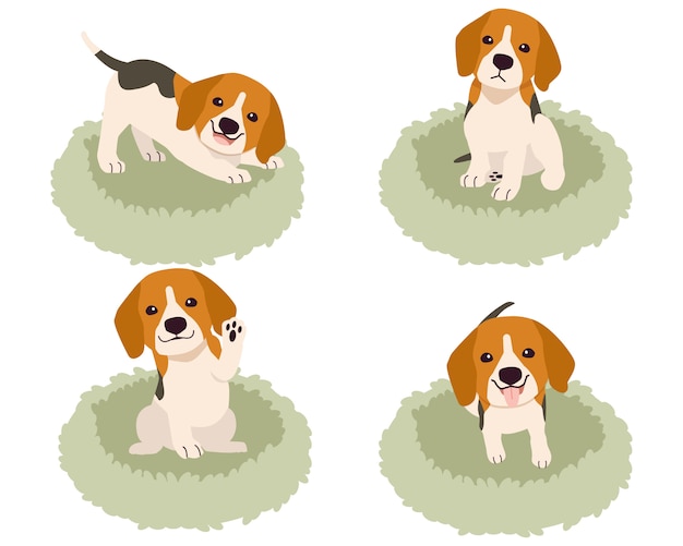 A coleção de beagle fofo na cesta de colchão ou cama de cachorro em estilo simples.