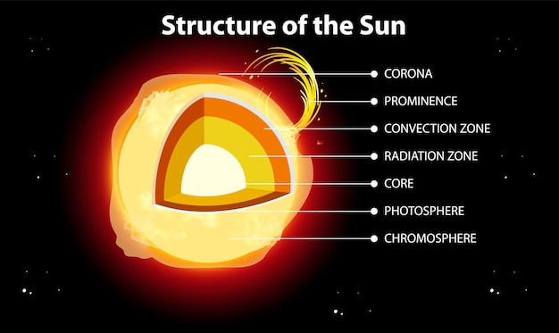 Vetor a estrutura do sol