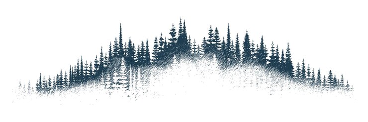 A floresta na névoa imitação de um esboço vetorial de desenho a lápis isolado