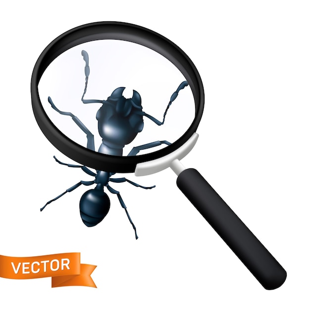 A formiga operária negra é explorada sob uma lupa. Close-up da cabeça de uma formiga com antenas e mandíbulas. Ilustração em vetor 3D realista de um inseto visto por uma lupa em um fundo branco